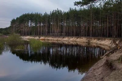 База отдыха Воронежа Лесная сказка