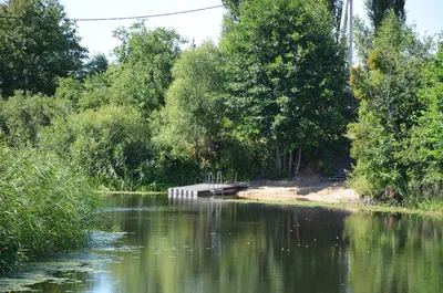 Загородный клуб «Обломов» г. Воронеж Воронежская область: цены на  проживание, отзывы туристов, адрес на карте и контакты - снять жилье на  сайте Турбаза.ру