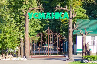 База отдыха с баней Воронеж: загородный банный комплекс с русской баней