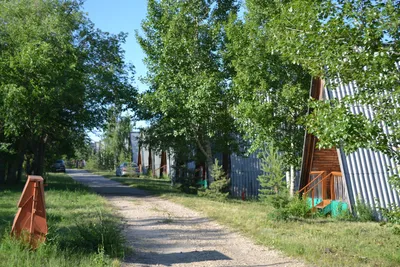 Турбаза Волга в Саратовской области