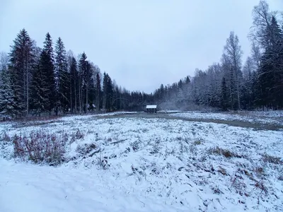 Зима пришла в Тверь, а десятки домов ещё без отопления - KP.RU