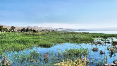 Kinneret Lodging, Тверия - обновленные цены 2024 года