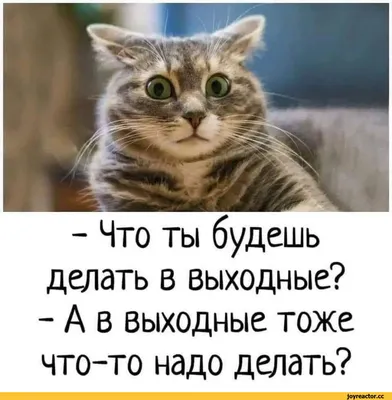 Открытка 10х10см 'Ты лучше всех'