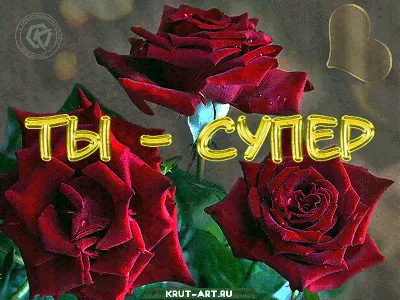 Ты супер! 60+ / Полные выпуски. 3 сезон / Финал / Передачи НТВ