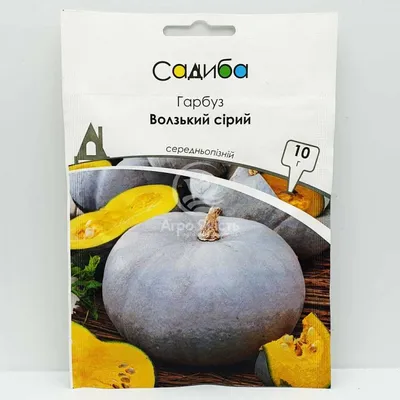 Тыква Волжская серая (ID#891430263), цена: 8 ₴, купить на Prom.ua