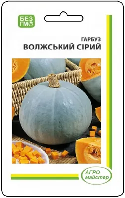 Тыквы Русский огород 414208 - купить по выгодным ценам в интернет-магазине  OZON (268420949)