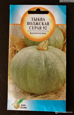 Семена Тыква Волжская Серая 92, 4 г Русский огород - купить в Русский  Огород, цена на Мегамаркет