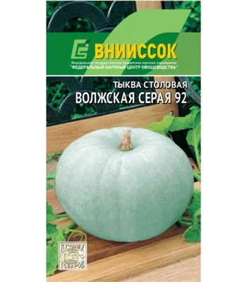 Тыква Волжская серая 10шт - семена купить в Киеве, Украине фото, отзывы,  описание - Дачник