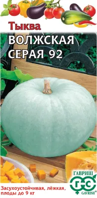 Семена тыквы кормовой Сероволжская (Волжская серая-92)1 кг (весовая) купить  в Украине. Цена, отзывы. Интернет магазин Agross.biz