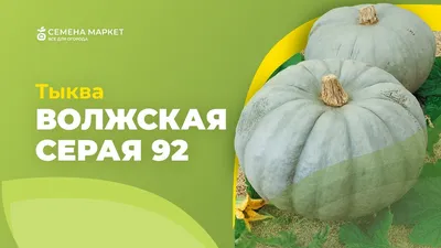 Тыква П/П Волжская серая 10г |