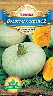 Семена тыквы Волжская серая, 3 г, Seedera: продажа, цена в Прилуках. Семена  и рассада овощных культур от \"Зелений Фламінго\" - 1492996022