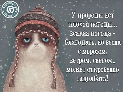 У природы нет плохой погоды.. | Привет, декабрь, Смешные открытки, Погода