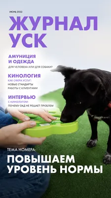 Воспаление уха у собаки: причины, симптомы и лечение | Hill's Pet