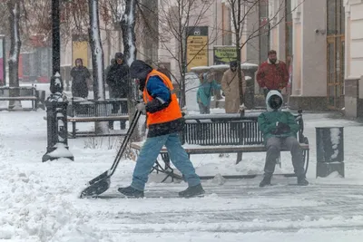 Уборка и вывоз снега в Екатеринбурге по цене от 10 руб/м2 -  Cleaning-Ekaterinburg.ru