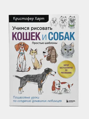 Учимся рисовать человеческие пропорции - Харт К., Купить c быстрой  доставкой или самовывозом, ISBN 978-5-04-123001-2 - КомБук (Combook.RU)