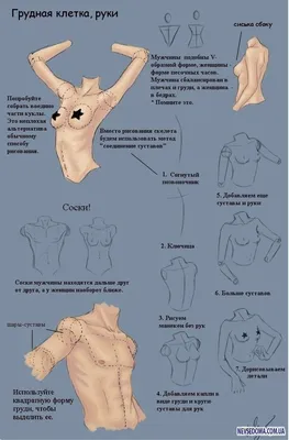 Раскраски для детей Набор для творчества из серии Учимся рисовать (комплект  из 2 книг) - купить с доставкой по выгодным ценам в интернет-магазине OZON  (476897179)