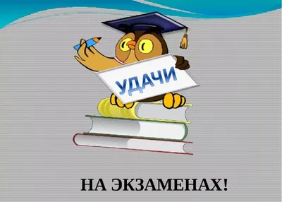 ГБОУ ШКОЛА 2097 - 🎒Школа 2097🎓 #школа2097 Успех на экзамене – это не  всегда только твердые и глубокие знания. Важно еще собраться,  сконцентрироваться, не нервничать – вот тогда все будет хорошо. Наш