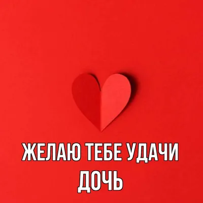 А ты уже лайкнул капибару? 🤭 Обществоведы, удачи на экзамене. Лёгких  вариантов и высоких результатов!.. | ВКонтакте