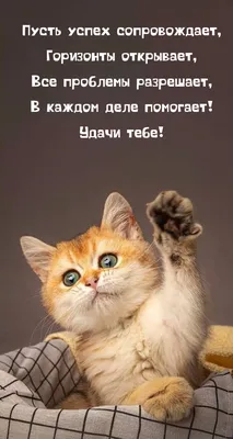 Открытки \"Желаю удачи!\" (100+)