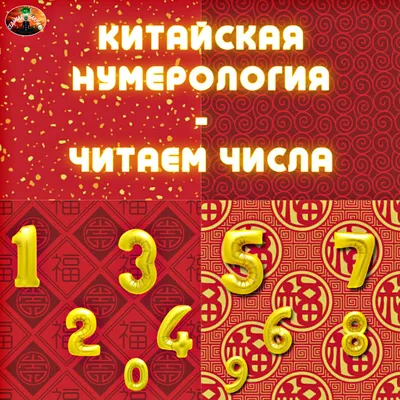 Тусипбекова Ш.: Больше не должна: История жизни, духовного роста и  финансового успеха женщины, которая поверила в себя: заказать книгу по  выгодной цене в интернет-магазине Meloman | Алматы