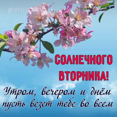 💕💕💕С Добрым Утром!💕💕💕 ПРИВЕТ, вторник! УДАЧНОГО ДНЯ и ХОРОШЕГО  НАСТРОЕНИЯ💕💕💕 - YouTube