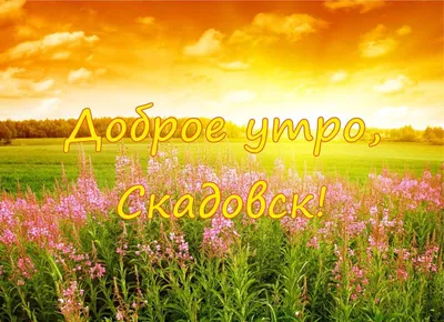 Лёгкого понедельника! Удачной недели! ~ Открытка (плейкаст)