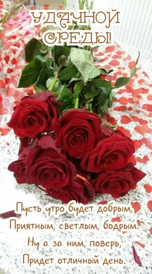 Открытки - Успешной среды! 🌻⚘🌻⚘🌻⚘🌻⚘🌻⚘ Доброе утро, хорошей среды,  Светлых улыбок и в сердце огня, Теплых объятий, удачи в делах. Крыльям  успеха — широкий размах! Счастья, добра вам, любимым, в сей день!