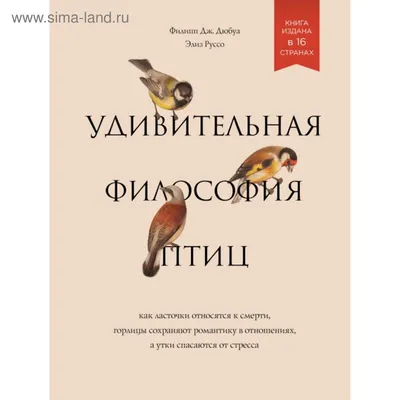 Удивительная Птица С Длинно Изогнутым Клювом Полосатая Птицапаук Сидя На  Ветке Естественный Фон Бокех — стоковые фотографии и другие картинки  Бирюзовый фон - iStock