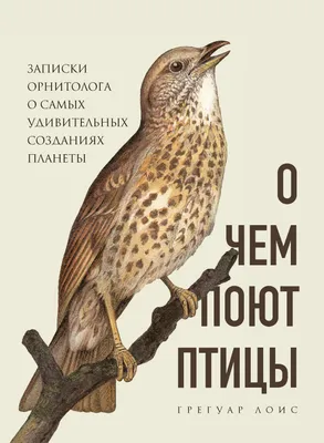 Стихотворение «УДИВИТЕЛЬНАЯ ПТИЦА СНЕГИРЬ», поэт Дёмина Галина