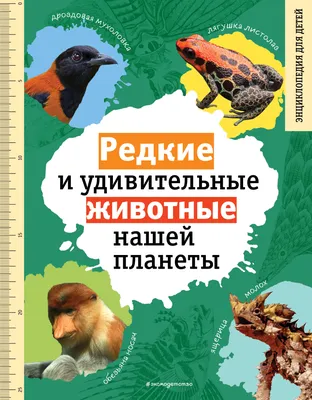 Удивительные уголки Беларуси (с посещением замков, 5 дней + ж/д) -  Экскурсионные туры в Беларусь из Москвы