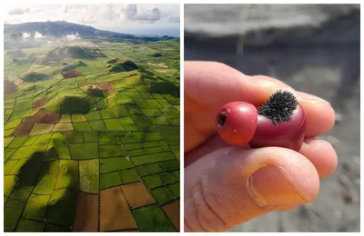 Удивительные картинки фотографии