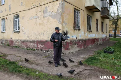 Город Уфа: климат, экология, районы, экономика, криминал и  достопримечательности | Не сидится