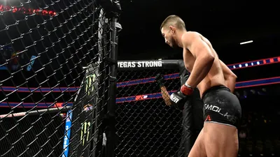 Need a healthy testosterone boost? Attend a live UFC event, a UF sports  professor says - News - University of Florida