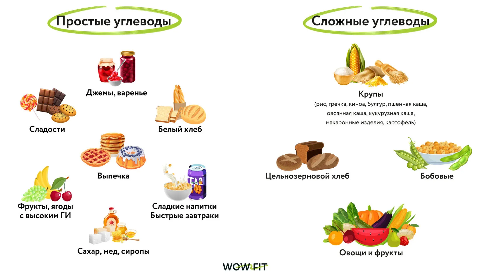 Что такое углеводы и для чего они нужны Что такое углеводы и для чего они нужны