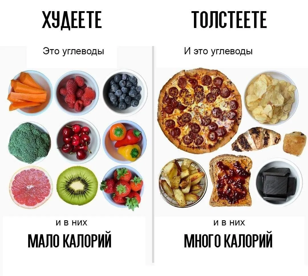 Быстрые и медленные углеводы: важность разделения для поддержания здорового образа жизни\" | Все о Правильном Питании | Дзен Быстрые и медленные углеводы: важность разделения для поддержания здорового образа жизни\" | Все о Правильном Питании | Дзен