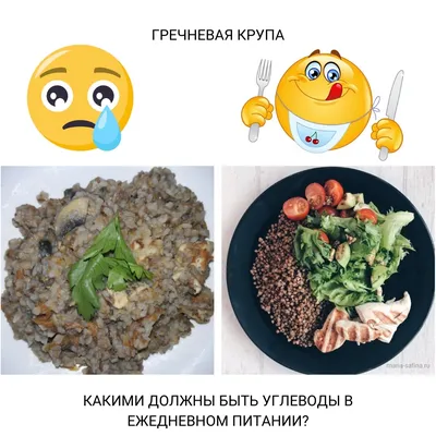 PRĀNAfood – Белки, жиры и углеводы в PRANA food