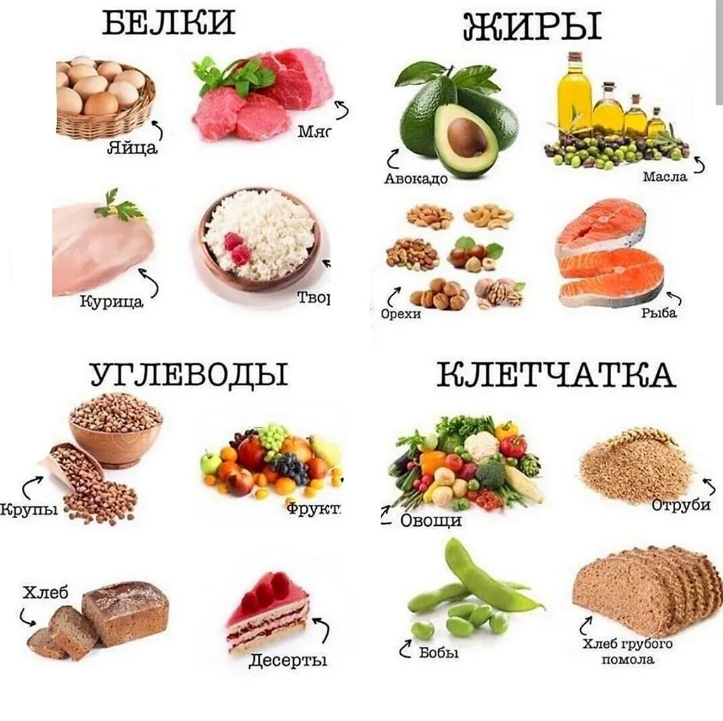 Быстрые и медленные углеводы Быстрые и медленные углеводы
