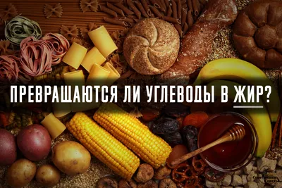 Углеводы