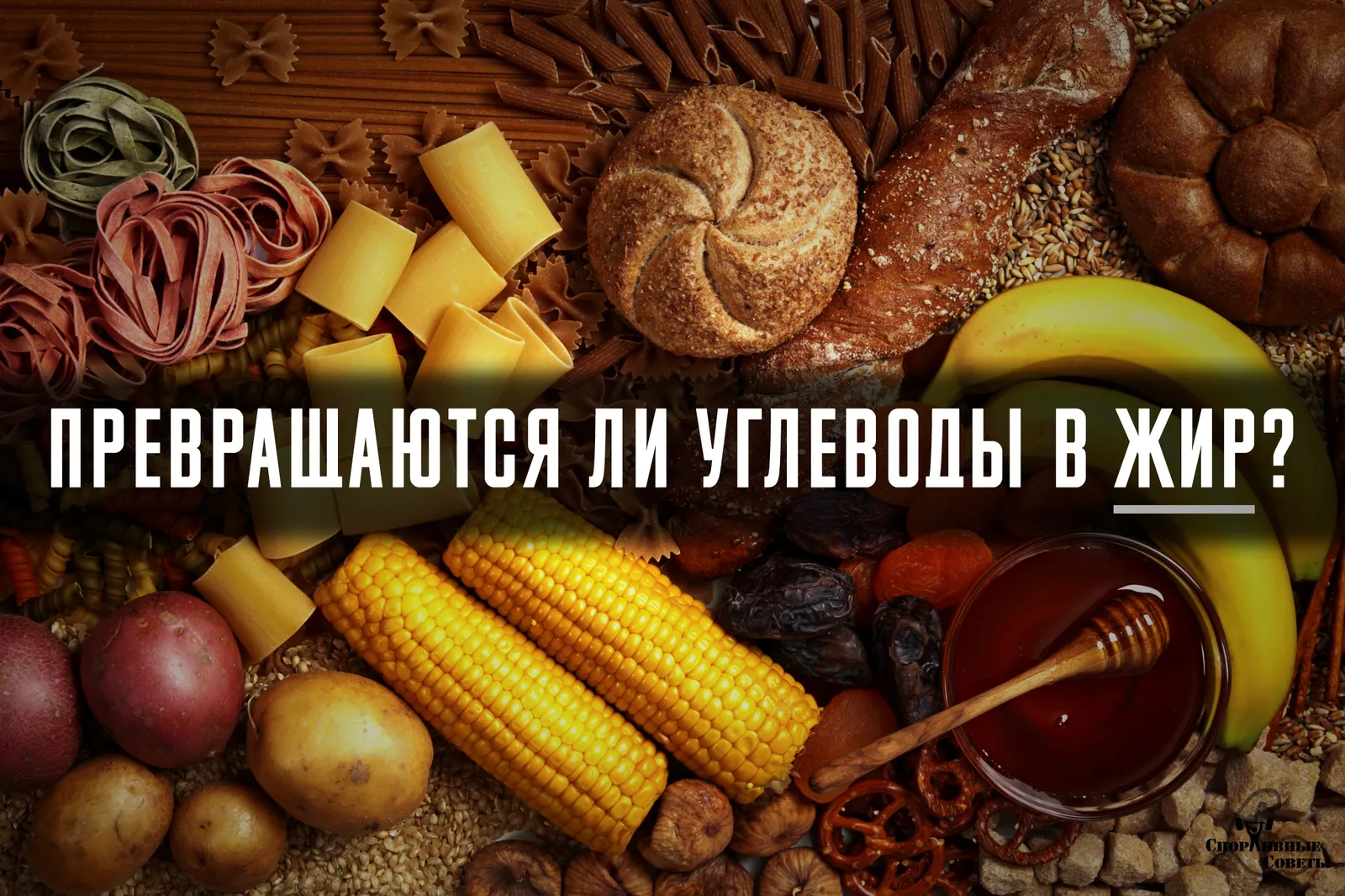Углеводы Углеводы