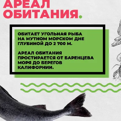 ☰ Угольная рыба (треска черная) «Sablefish» цена от 1495 грн заказать с  доставкой в городе Киев