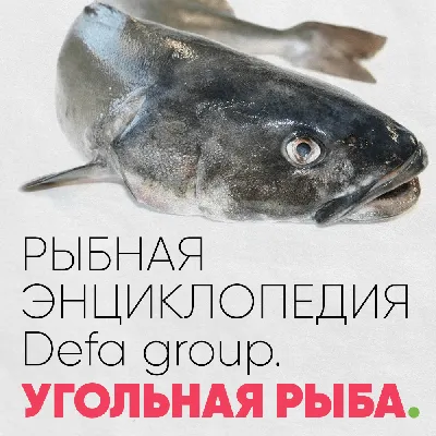 Угольная рыба купить в интернет-магазине Tsukiji.group