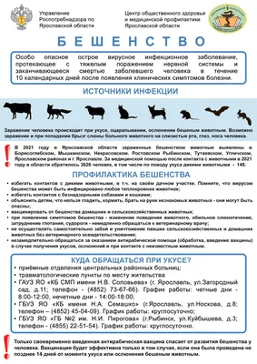 Картинки в уголок здоровья » Прикольные картинки: скачать бесплатно на  рабочий стол