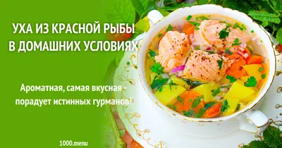 Ну, оОчень вкусная - Уха из Семги! - YouTube