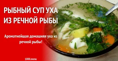 Рыбный суп уха из речной рыбы рецепт с фото пошагово | Рецепт | Кулинария,  Рыбный суп, Рыба