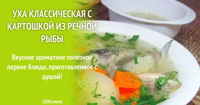 Уха классическая с картошкой из речной рыбы рецепт фото пошагово и видео -  1000.menu