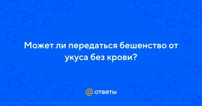 Бешенство – смертельная опасность. Что делать, если укусила собака или  другое животное?