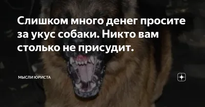 Что делать, если вас на улице укусила собака | По жизни с собакой | Дзен