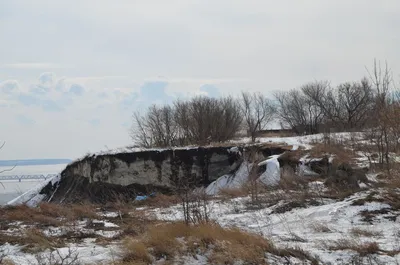 File:Оползень открыл кости древних ящеров. Городище. Ундоры. Ульяновская  обл. Ноябрь 2013 - panoramio.jpg - Wikimedia Commons