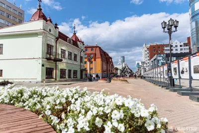 Светящийся навес на улице Вайнера оставят после Дня города на несколько лет  - KP.RU