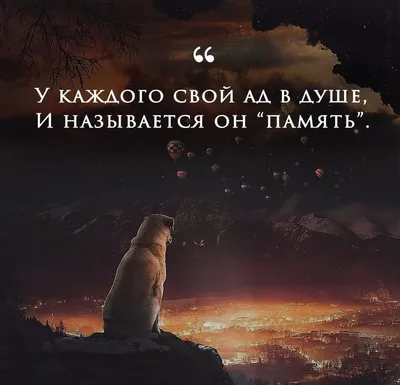 Лучшие цитаты из книг в красивых картинках онлайн — Canva